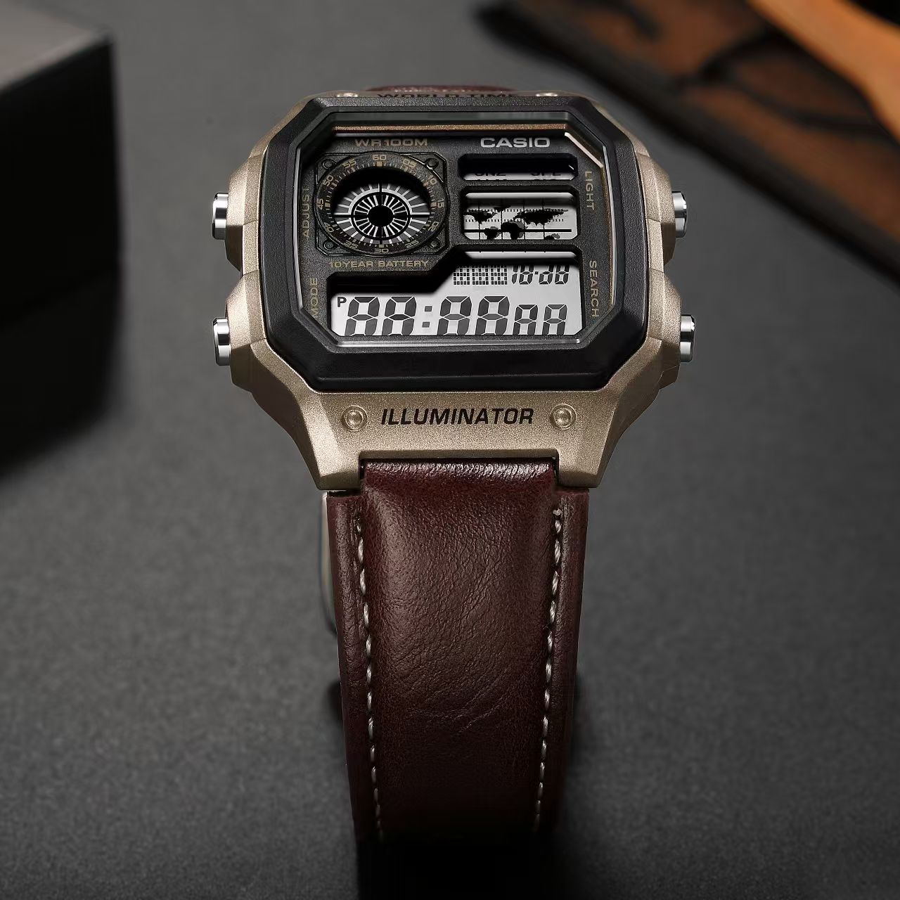 CASIO Digital Display